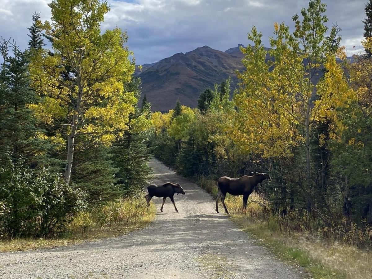 Denali Park View Family Log Cabin Екстер'єр фото