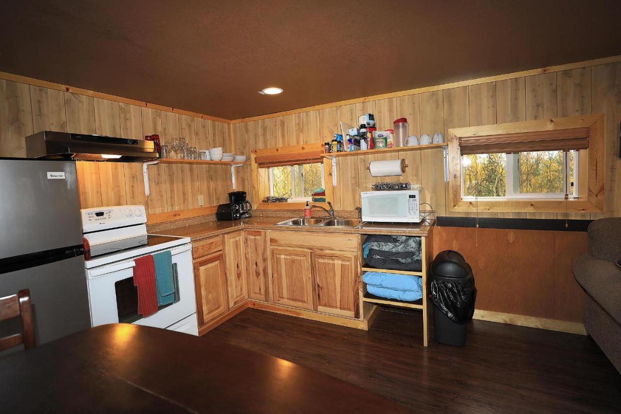 Denali Park View Family Log Cabin Екстер'єр фото