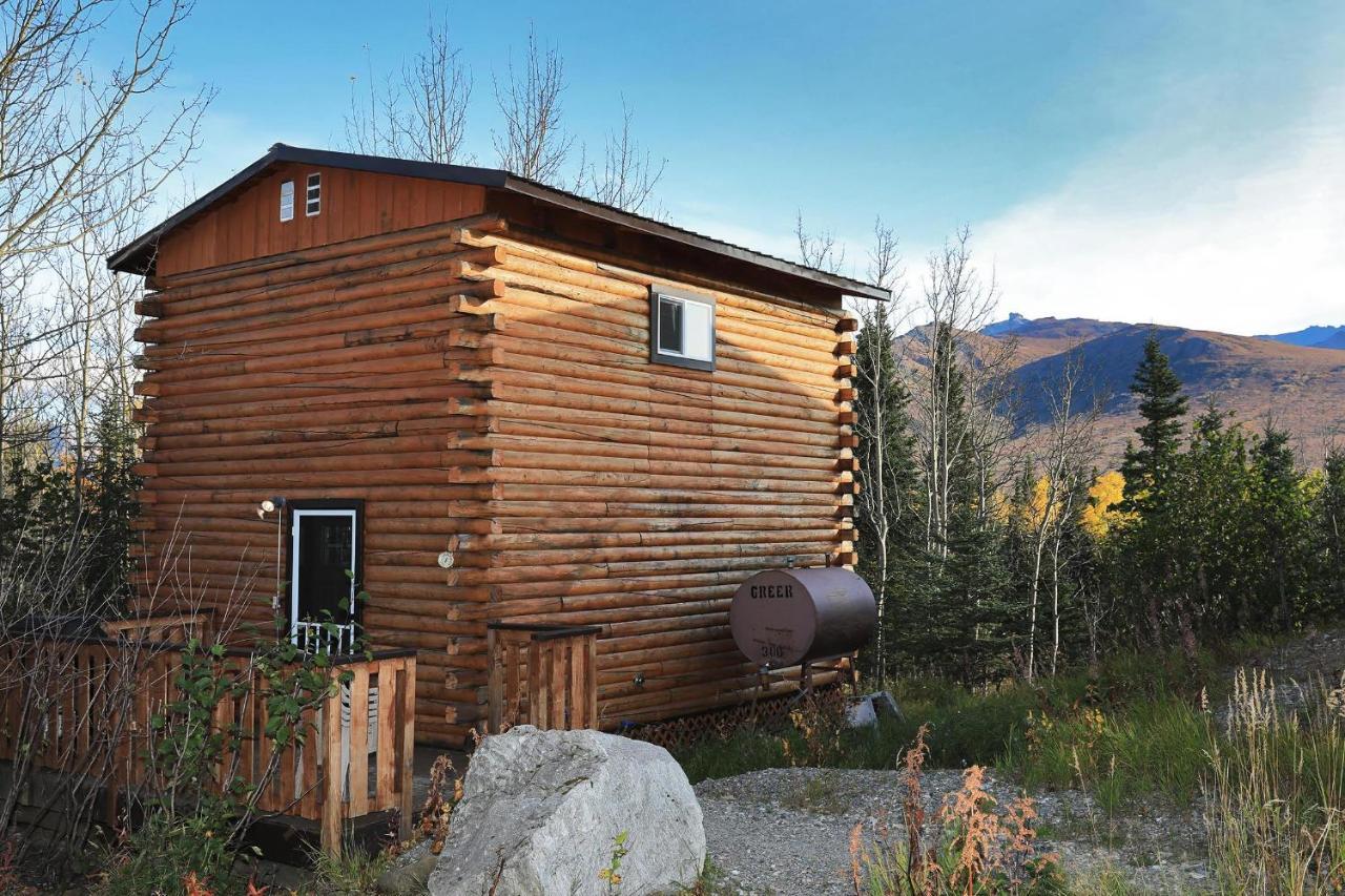 Denali Park View Family Log Cabin Екстер'єр фото