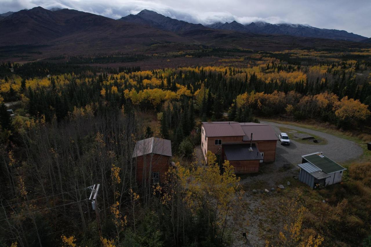Denali Park View Family Log Cabin Екстер'єр фото